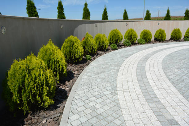 Reasons to Select Us for Your Driveway Paving Requirements in Grand Ledge, MI